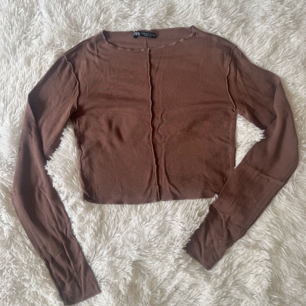Zara Brown Long-Sleeve Crop Top